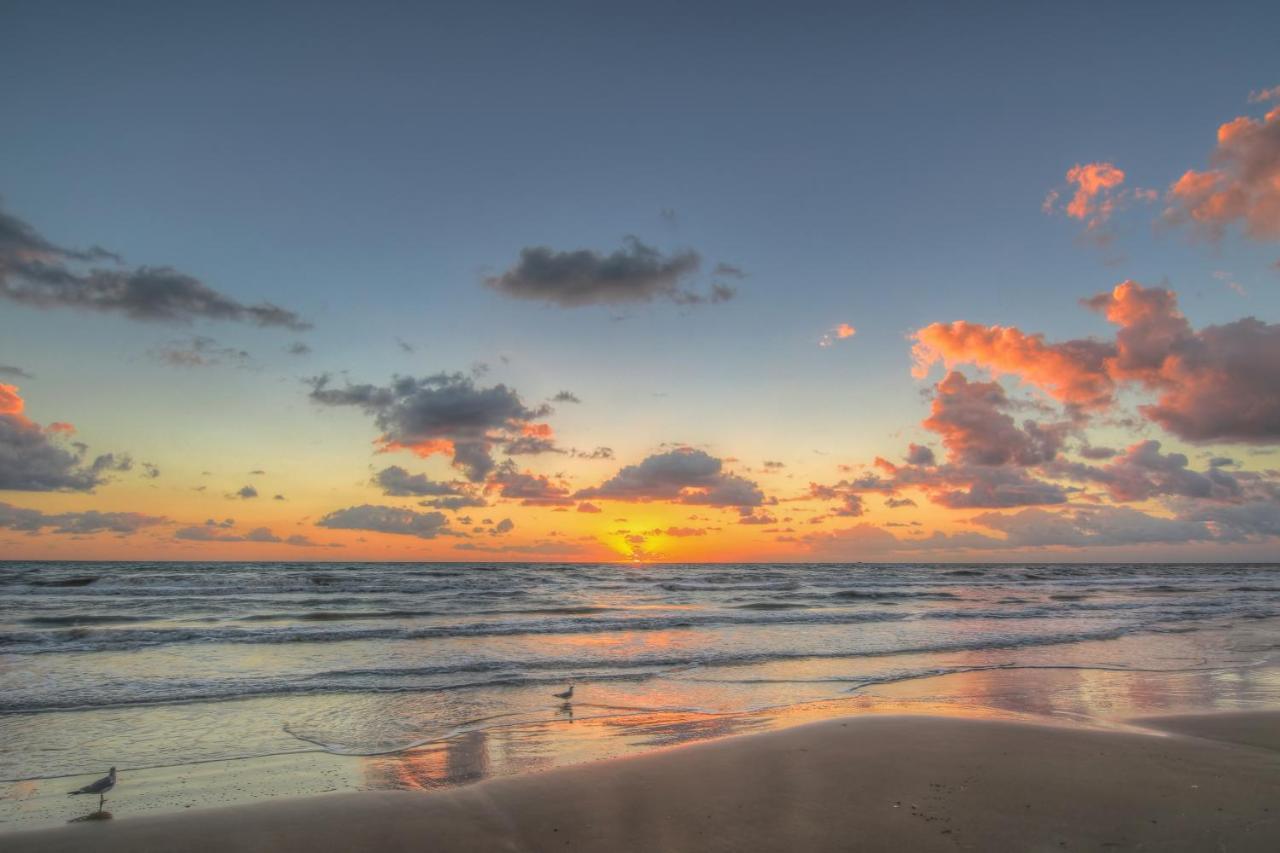 Suntide III Condos IX South Padre Island Buitenkant foto